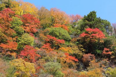 🏞️ 베후 협곡(베후쿄) 이미지 2